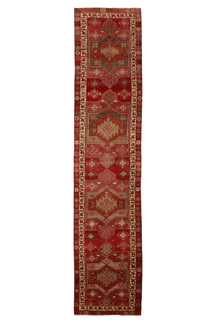Vintage Southeastern Persian Style Runner Rug 3x13 ft — Red & Brown Geometric