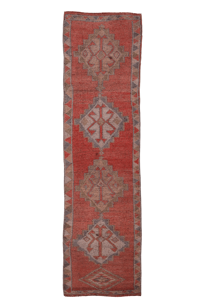 Akrator Persian Style Runner Rug