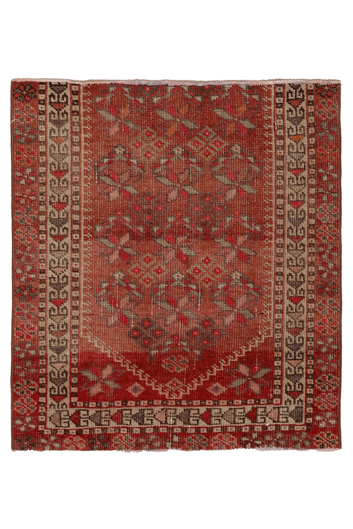 Tsenex Persian Style Doormat Rug