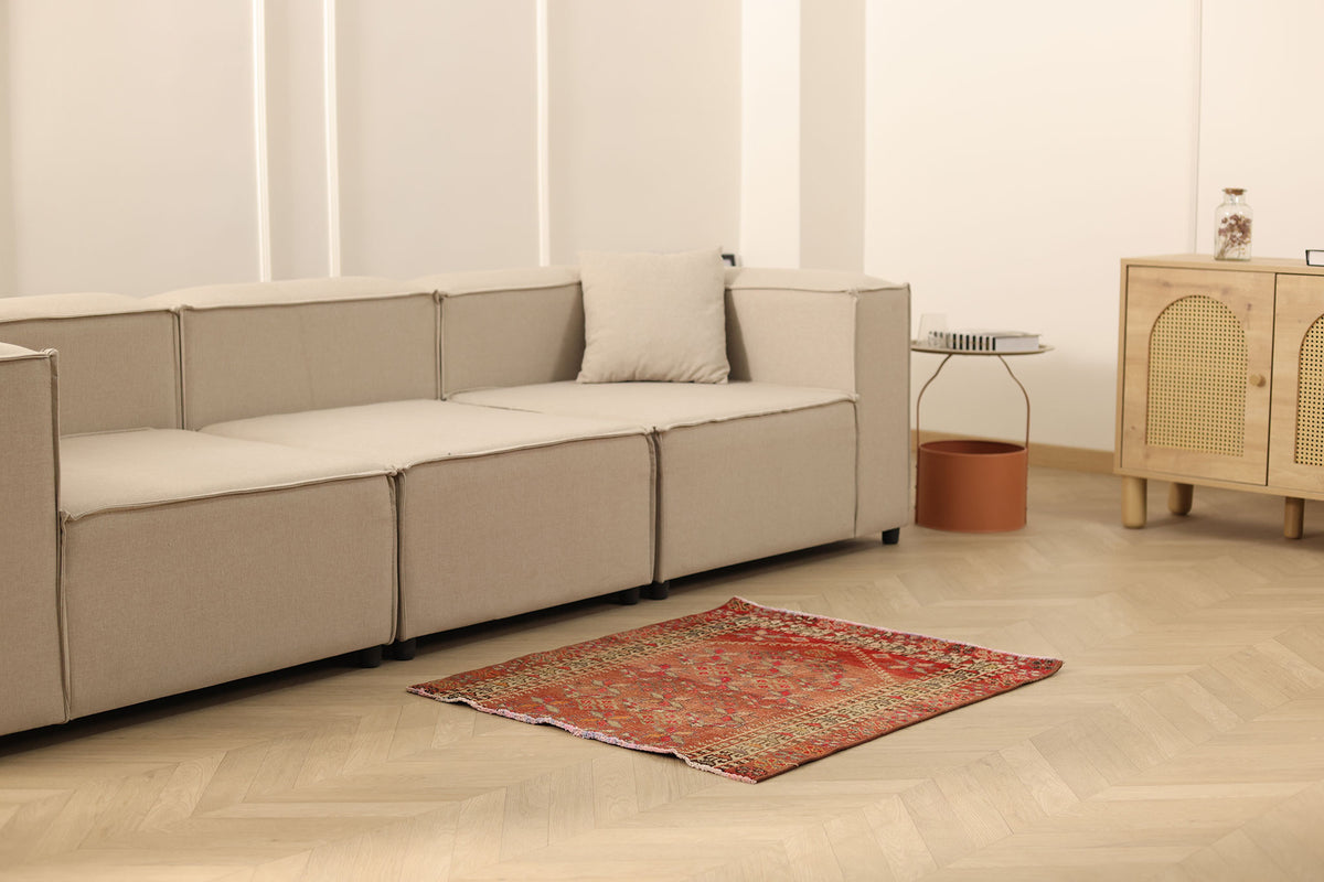 Tsenex Persian Style Doormat Rug