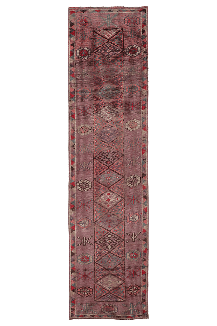 Pamerel Persian Style Runner Rug