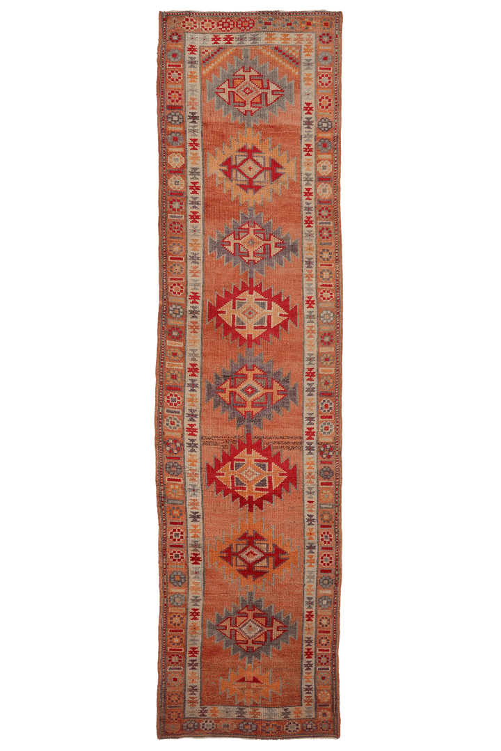 Pamerix Persian Style Runner Rug