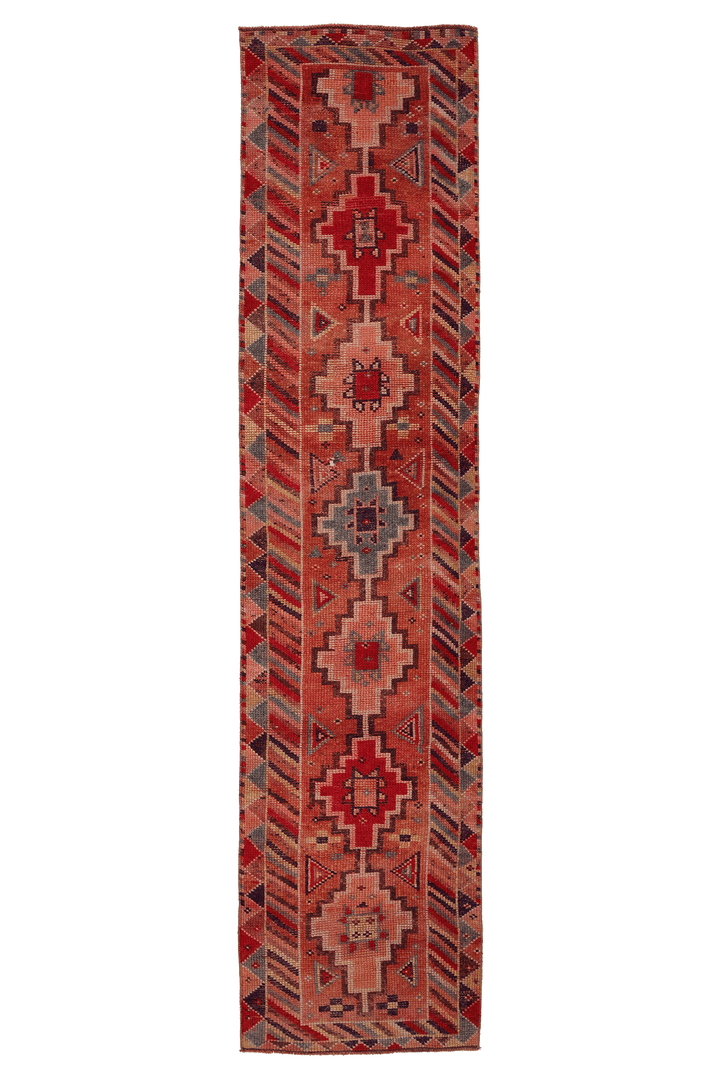 Umerel Persian Style Runner Rug