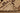 Pamerethix Persian Style Runner Rug