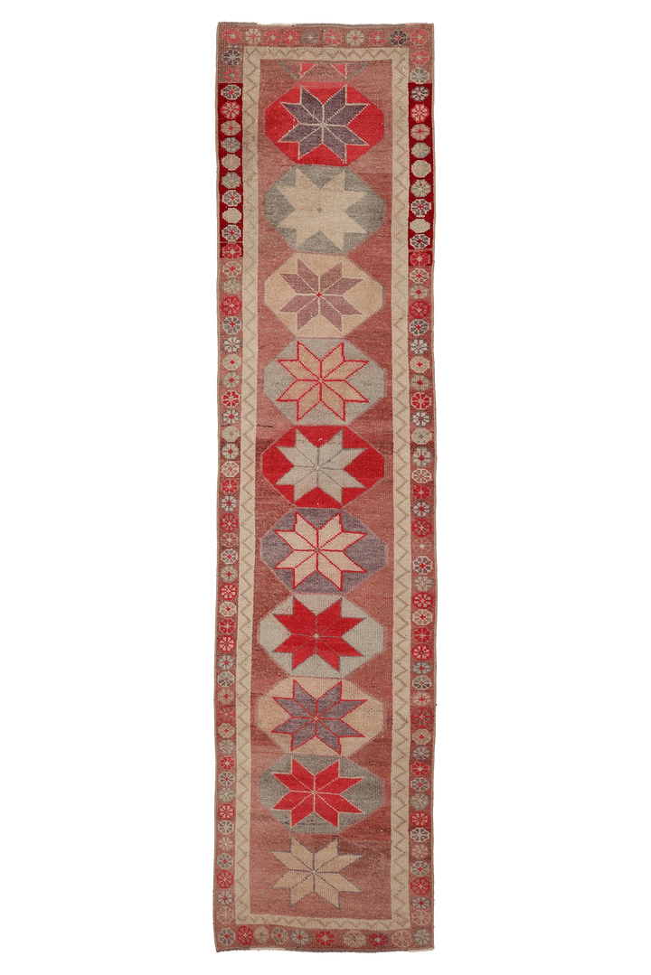 Kethvenar Persian Style Runner Rug