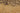 Vintage Konya Turkish Runner Rug 3x10 ft — Beige & Brown Floral