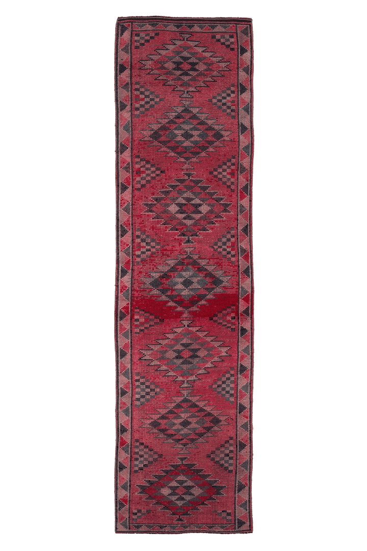 Kethunor Persian Style Runner Rug
