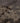 Vintage Isparta Turkish Doormat 2x4 ft — Gray & Brown Distressed