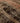 Vintage Malatya Turkish Doormat 2x3 ft — Brown & Pink Distressed