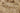 Vintage Isparta Turkish Doormat 2x3 ft — Beige & Brown Floral (No. 25198)