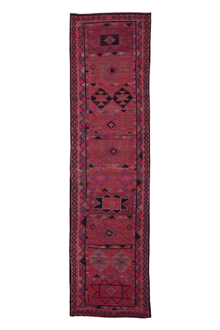Tsenad Persian Style Runner Rug