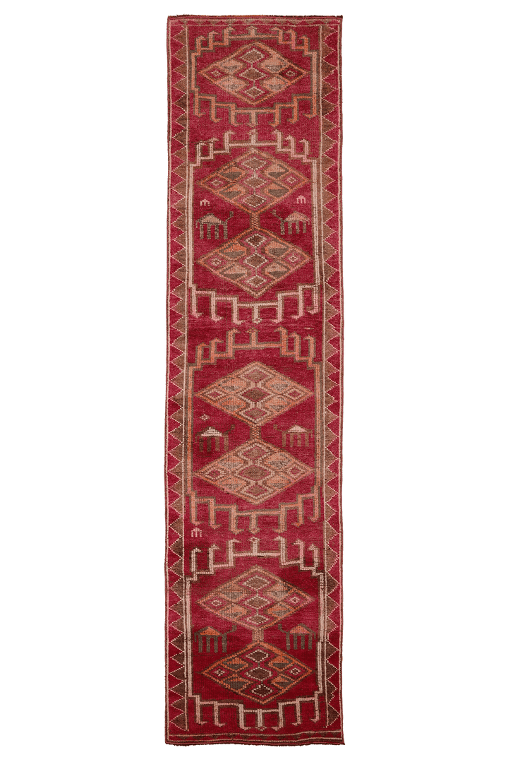 Tsenorix Persian Style Runner Rug