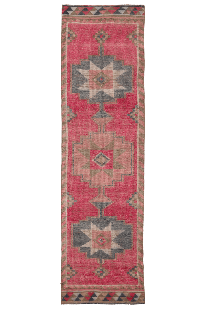 Tseniel Persian Style Runner Rug