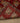 Vintage Konya Turkish Runner Rug 3x5 ft — Red & Orange Floral