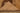 Vintage Malatya Turkish Runner Rug 2x10 ft — Orange & Brown Geometric