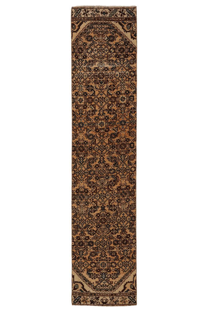 Lameriel Persian Style Runner Rug