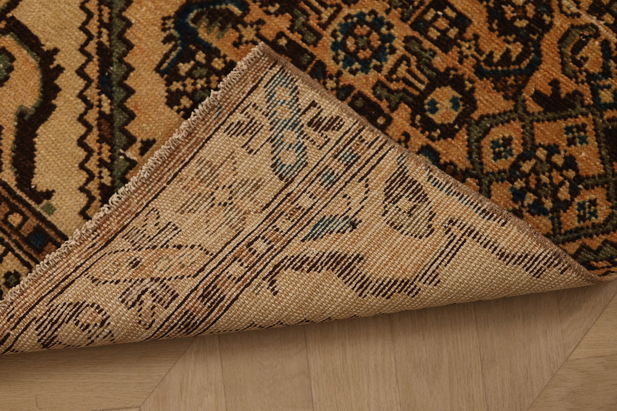 Lameriel Persian Style Runner Rug