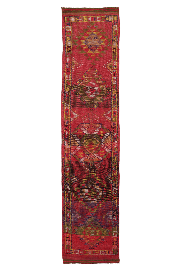 Dakhurethim Persian Style Runner Rug