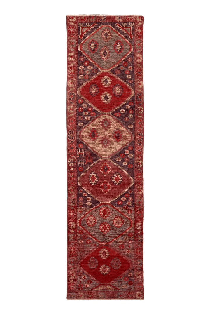 Vintage Southeastern Persian Style Runner Rug 3x10 ft — Red & Brown Geometric