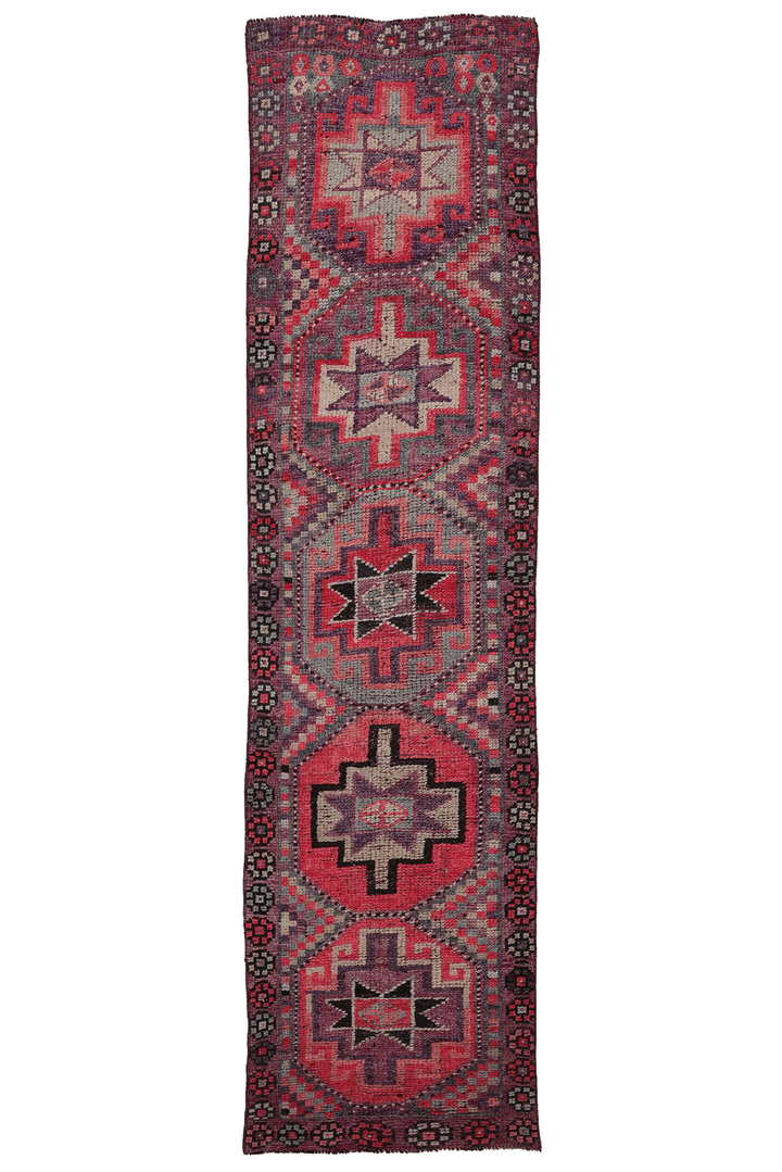 Cethvelis Persian Style Runner Rug