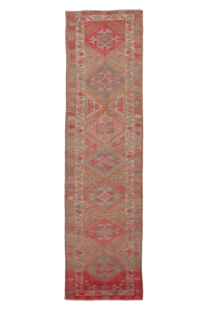 Ckrunorh Persian Style Runner Rug