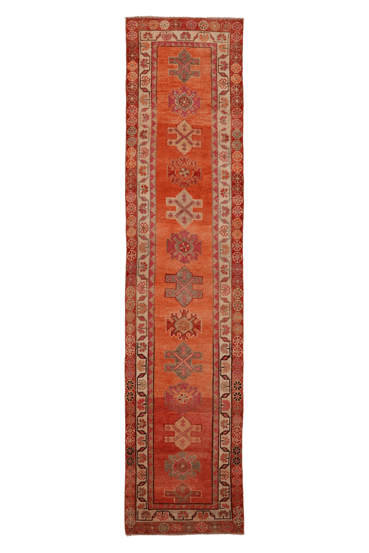 Cethvekar Persian Style Runner Rug