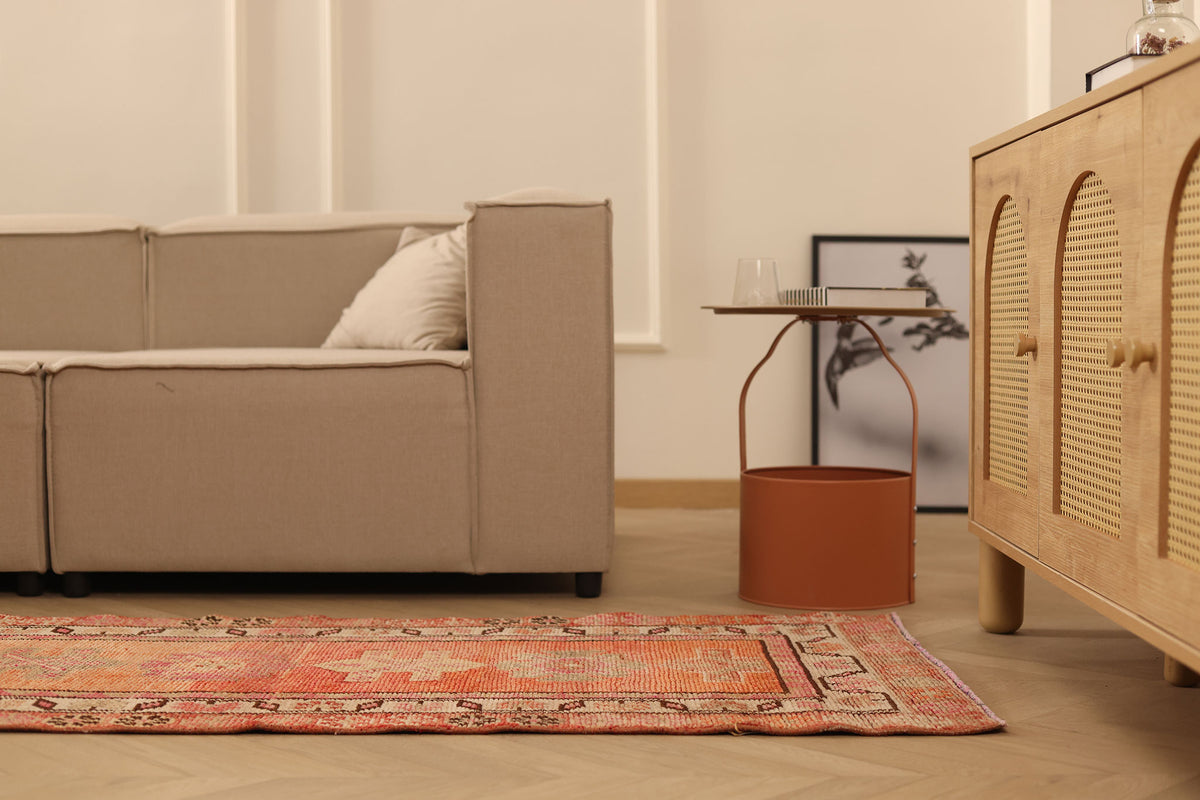 Cethvekar Persian Style Runner Rug
