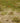 Vintage Malatya Turkish Runner Rug 2x10 ft — Green & Beige Distressed