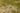 Vintage Malatya Turkish Runner Rug 2x10 ft — Green & Beige Distressed