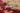 Vintage Isparta Turkish Area Rug 6x9 ft — Red & Beige Floral (No. 33602)