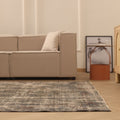 Vintage Manisa Turkish Area Rug 6x10 ft — Gray & Beige Distressed