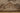 Vintage Isparta Turkish Area Rug 5x9 ft — Beige & Brown Floral (No. 35324)
