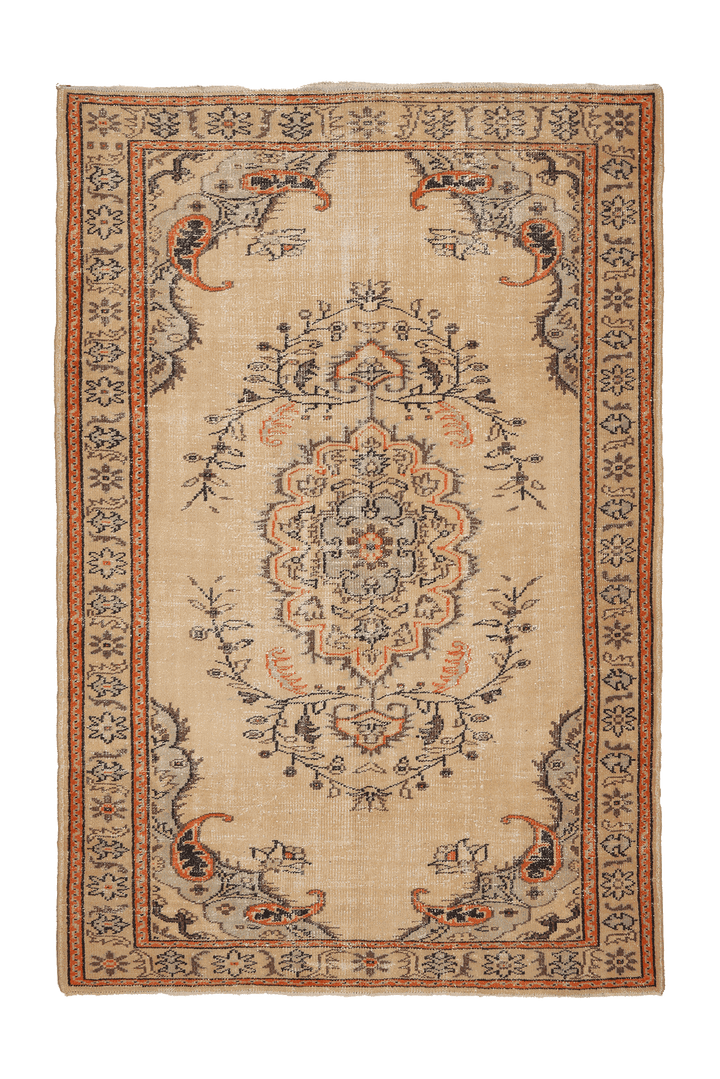 Vintage Isparta Turkish Area Rug 6x9 ft — Beige & Brown Floral