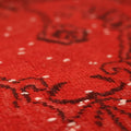 Vintage Isparta Turkish Area Rug 6x10 ft — Red Floral
