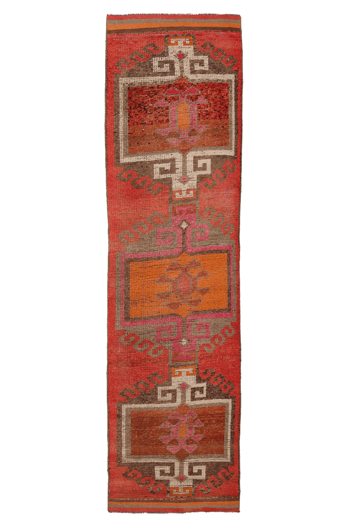Kasenad Persian Style Runner Rug