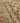 Vintage Isparta Turkish Area Rug 5x9 ft — Beige & Brown Floral (No. 37136)