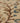Vintage Isparta Turkish Area Rug 5x8 ft — Beige & Brown Floral (No. 37145)