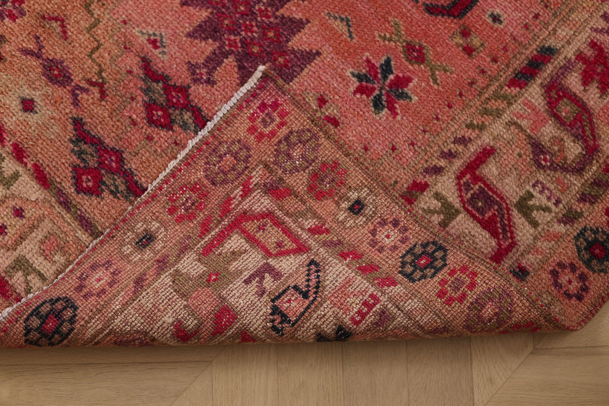 Eshurethok Persian Style Runner Rug