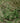 Vintage Isparta Turkish Area Rug 6x9 ft — Green & Gray minimalist
