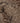 Vintage Isparta Turkish Area Rug 5x9 ft — Gray & Brown Floral