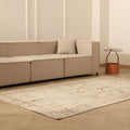 Vintage Manisa Turkish Area Rug 5x8 ft — Beige & Gray Floral (No. 38591)