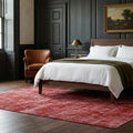 Turkish Area Rug in a styled room