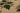 Vintage Isparta Turkish Area Rug 7x10 ft — Beige & Green Floral