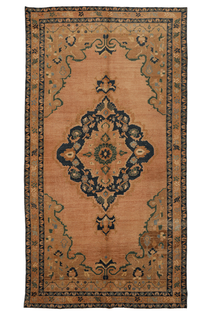 Akharen Persian Style Area Rug