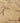 Vintage Isparta Turkish Area Rug 5x9 ft — Beige & Brown Floral (No. 39265)