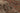 Vintage Isparta Turkish Area Rug 7x9 ft — Gray & Brown Distressed