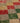 Vintage Isparta Turkish Area Rug 5x9 ft — Beige & Red Geometric