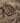 Vintage Isparta Turkish Area Rug 5x10 ft — Beige & Brown Floral (No. 39331)