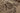Vintage Isparta Turkish Area Rug 5x10 ft — Beige & Brown Floral (No. 39331)