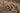 Vintage Isparta Turkish Area Rug 5x9 ft — Beige & Brown Floral (No. 39340)